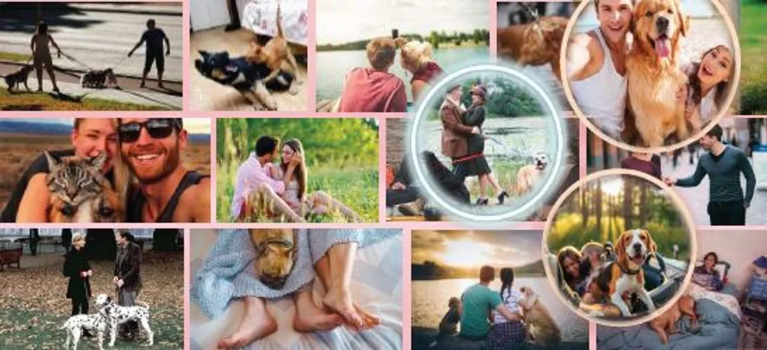 L'émission sera diffusée sur TF1